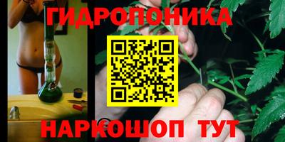 бошки Будённовск