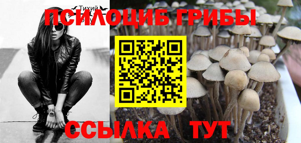 Галлюциногенные грибы Psilocybine cubensis Шали